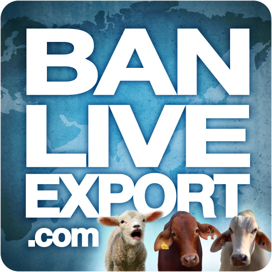 ban live export