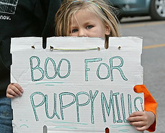 boo for puppy mills