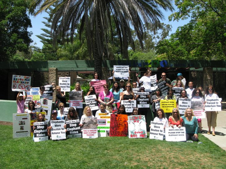 A dedicated group of regular protesters in front of the Santa Ana Zoo