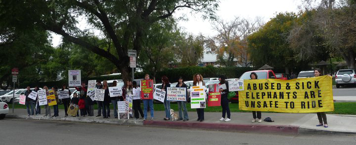 One of the many public protests against elephant rides at the Santa Ana Zoo