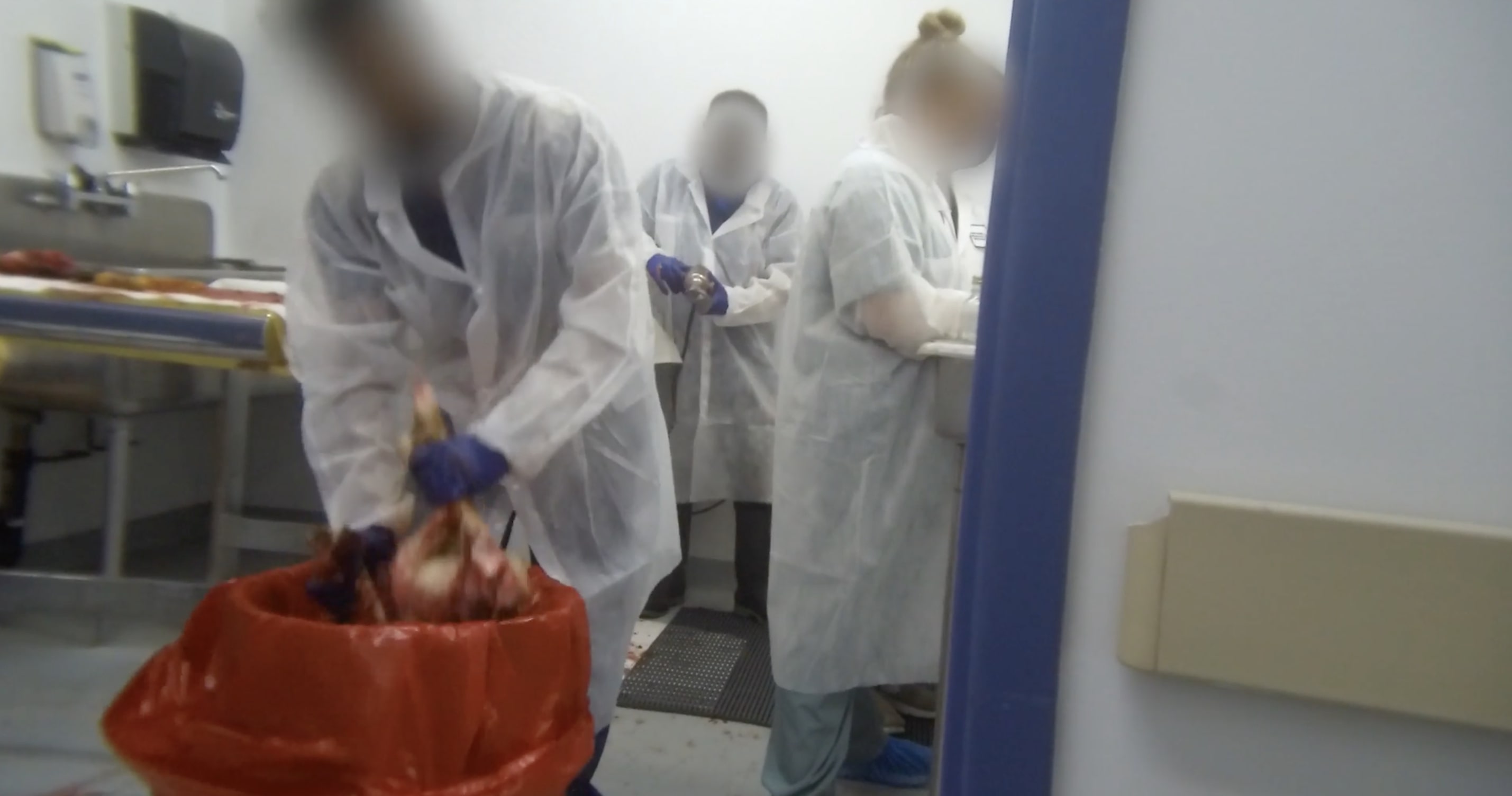 Dog Thrown Out In Trash