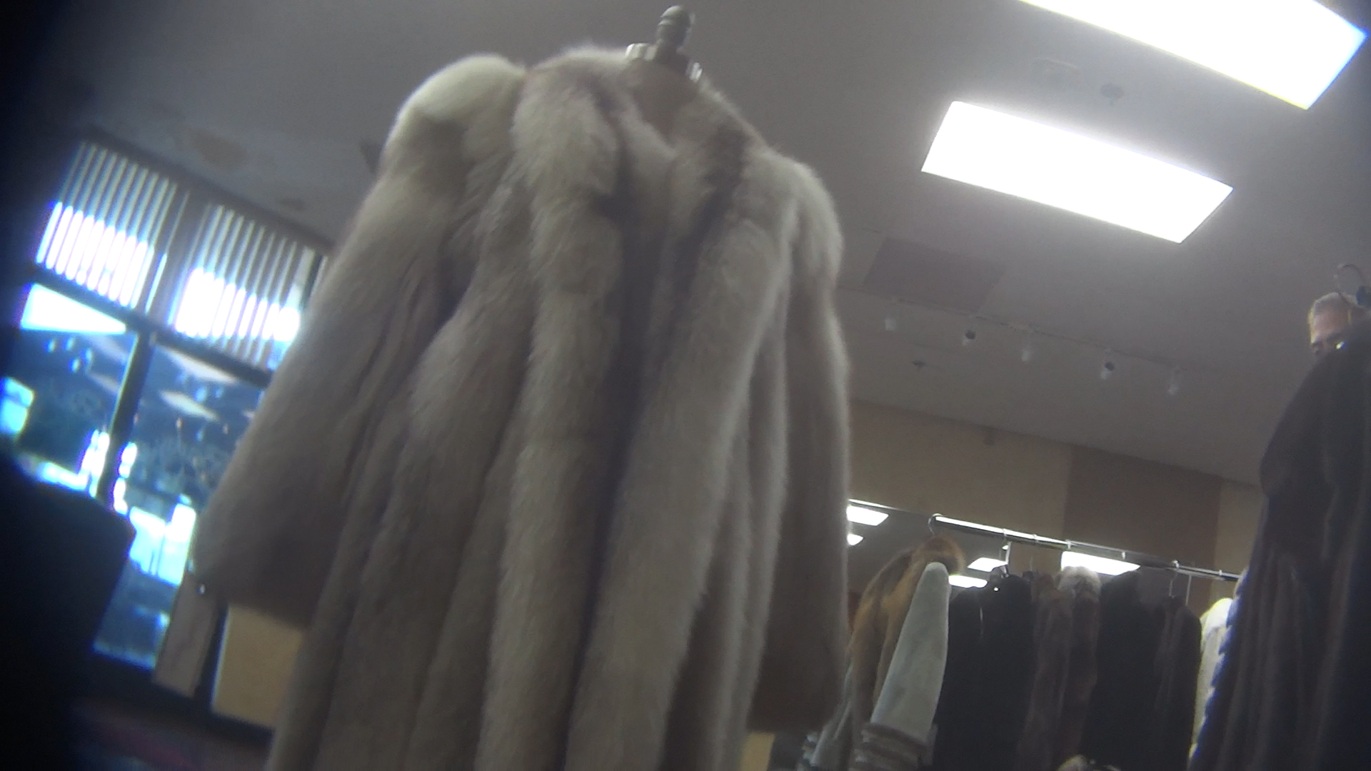 Illegal Fur Sales in California