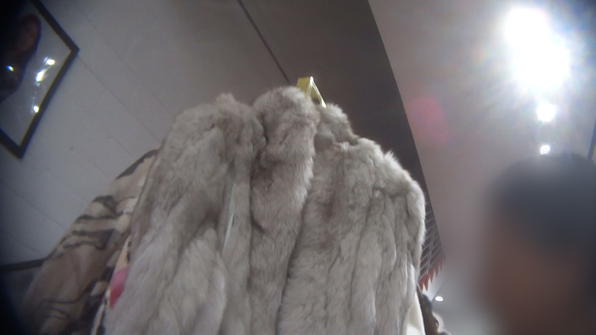 Illegal Fur Sales in California