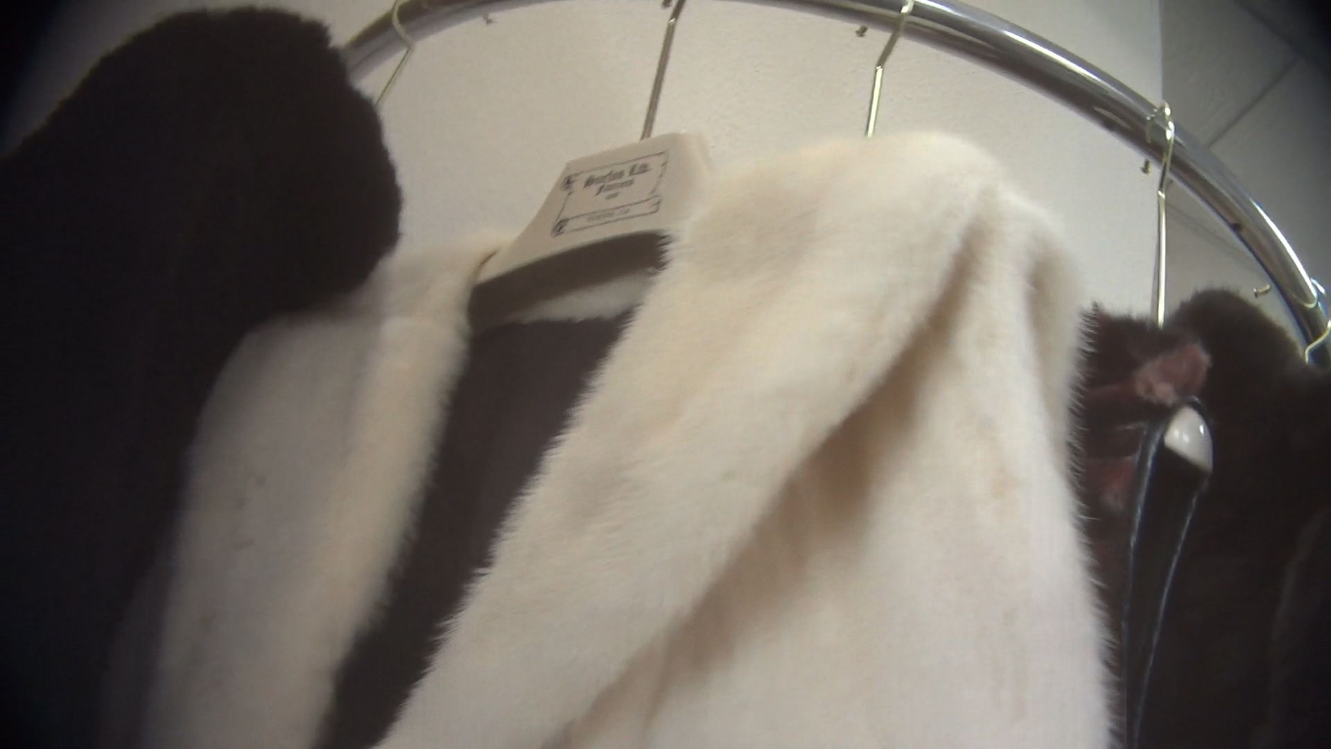 Illegal Fur Sales in California