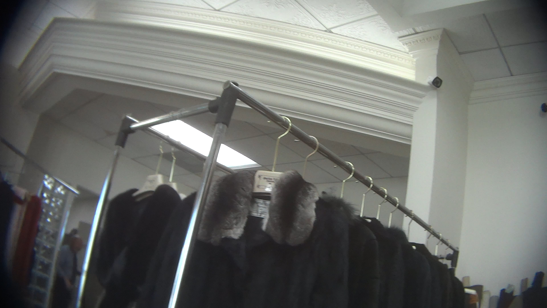 Illegal Fur Sales in California