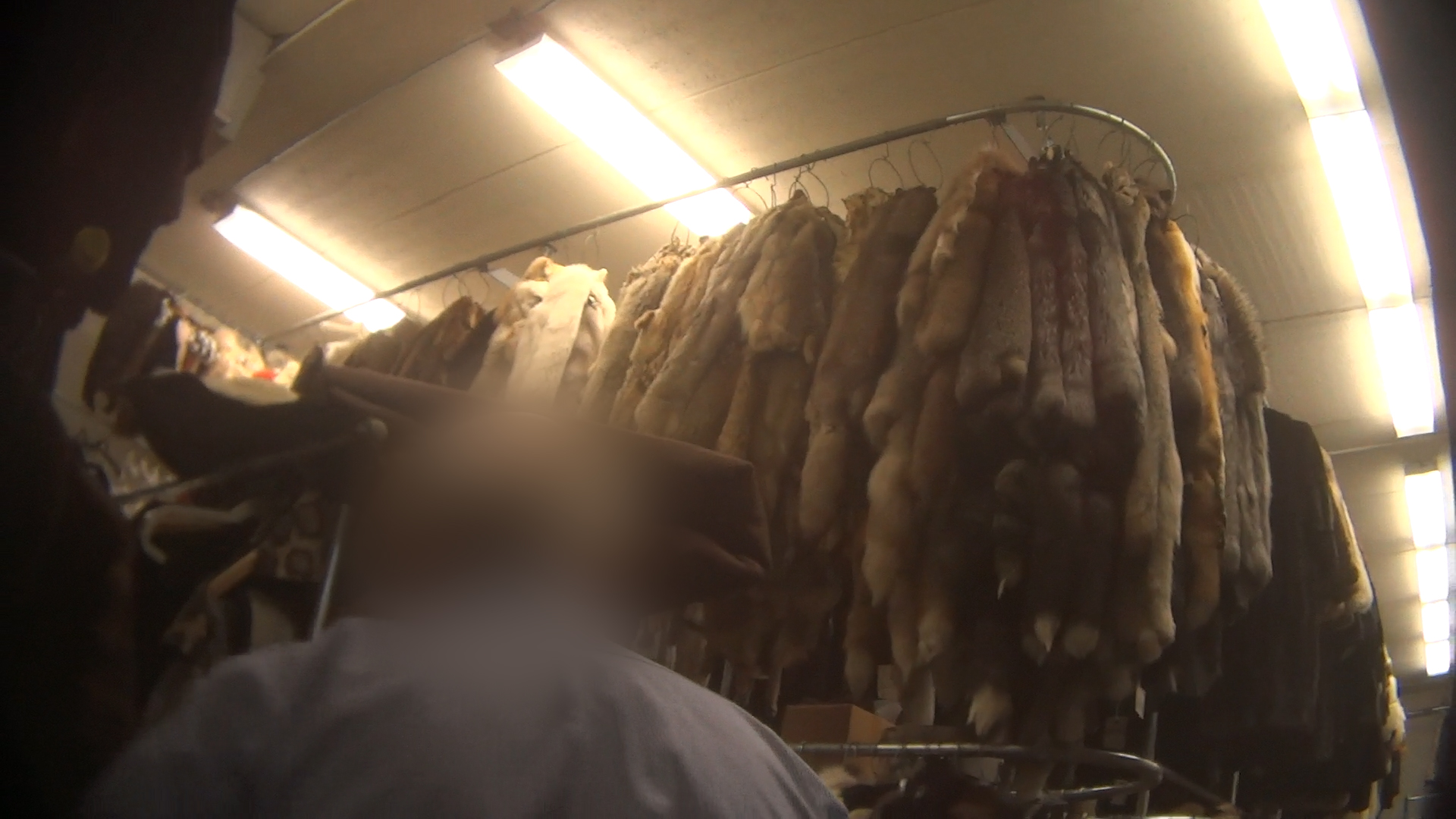 Illegal Fur Sales in California