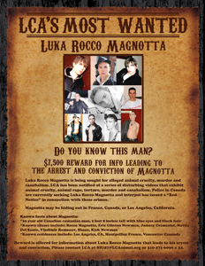 LCA Most Wanted Luka Rocco Magnotta sm