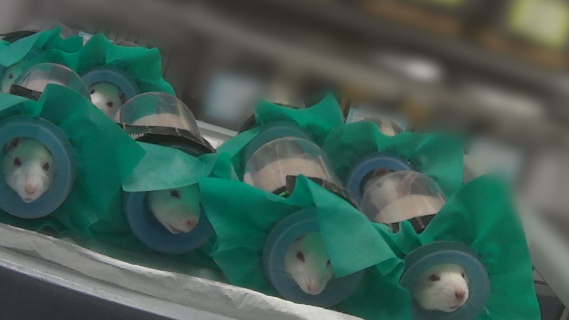 Respiratory Monitoring Cone
