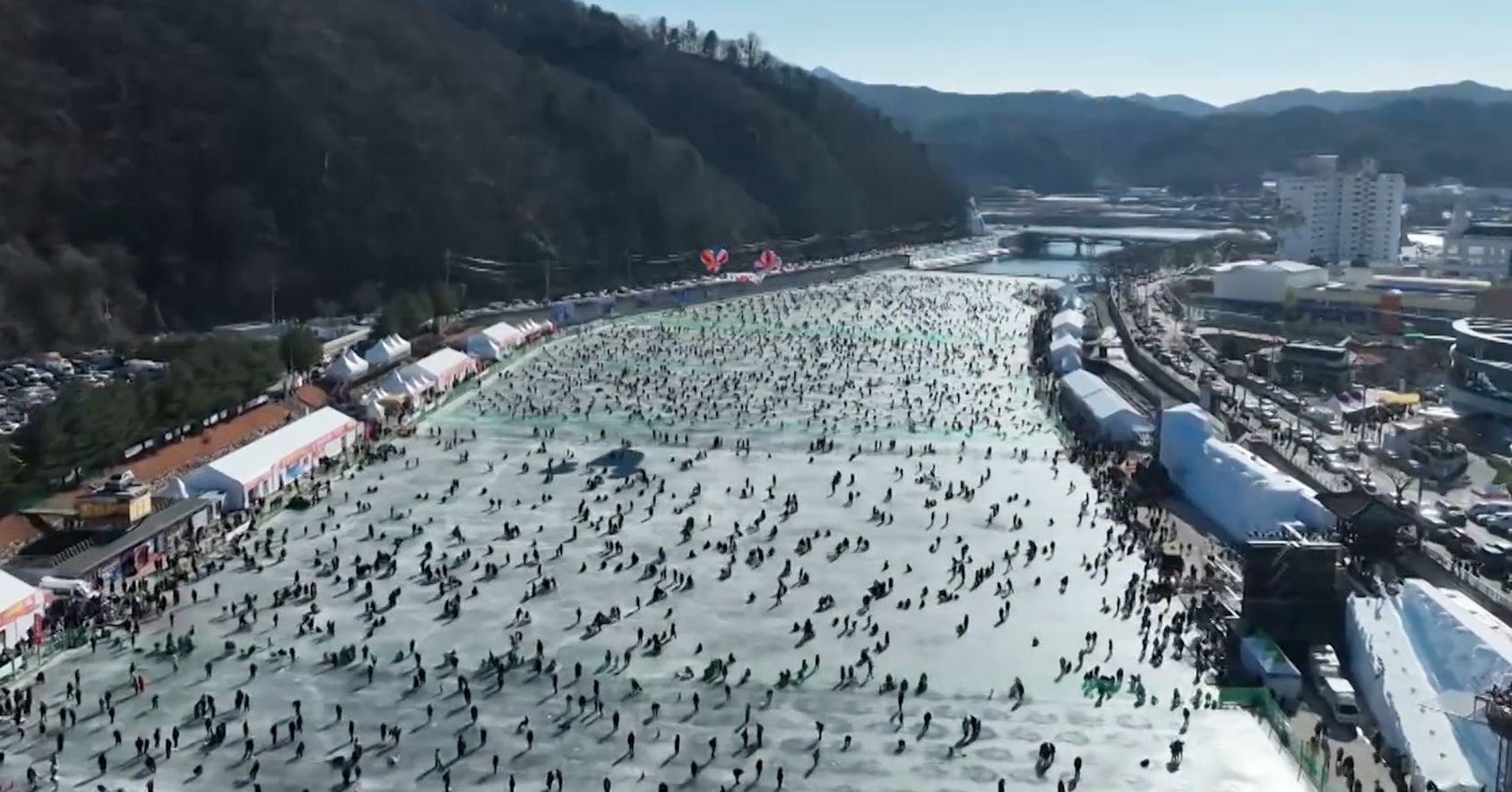 Overview of Festival
