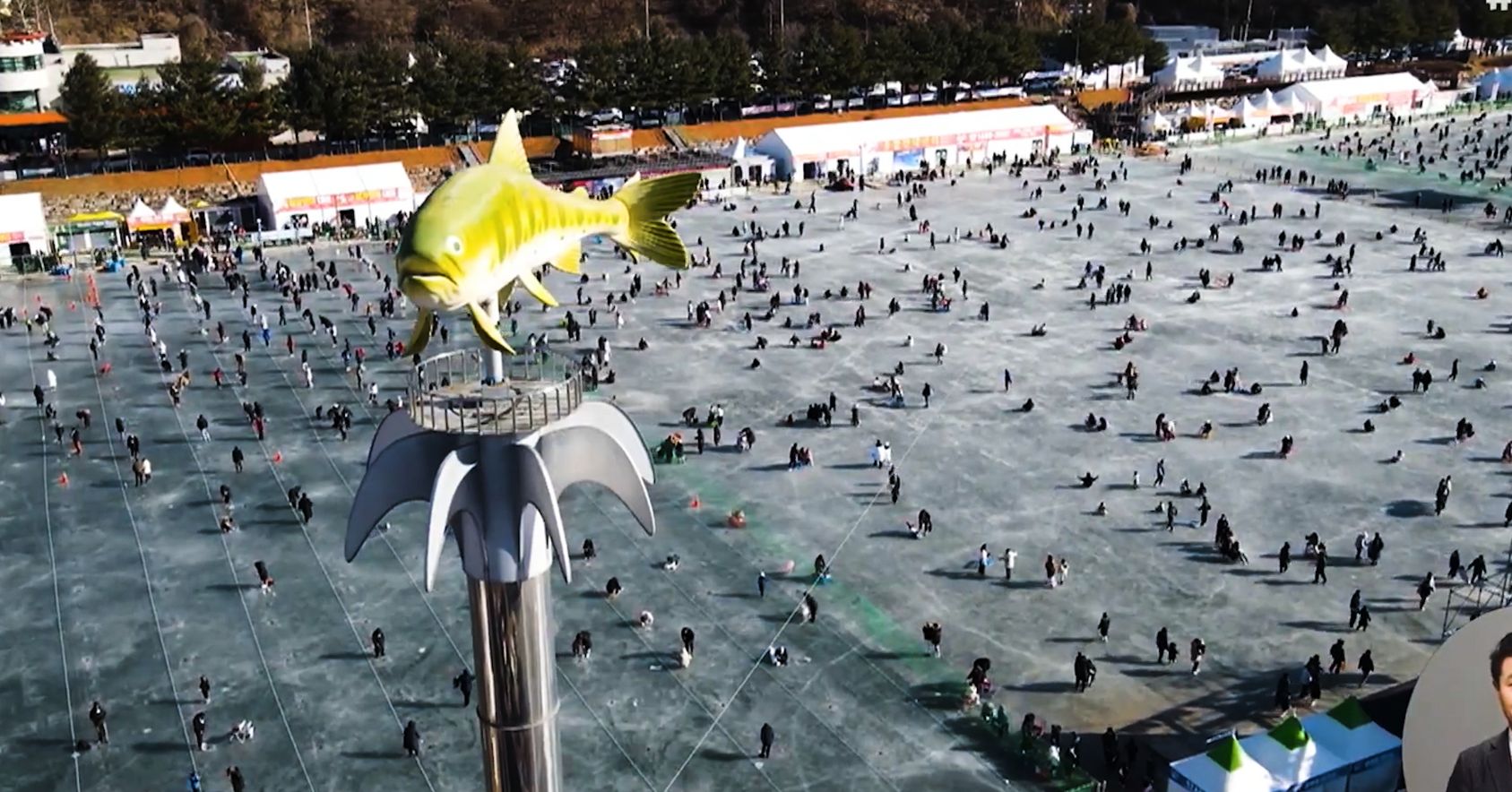 Overview of Festival