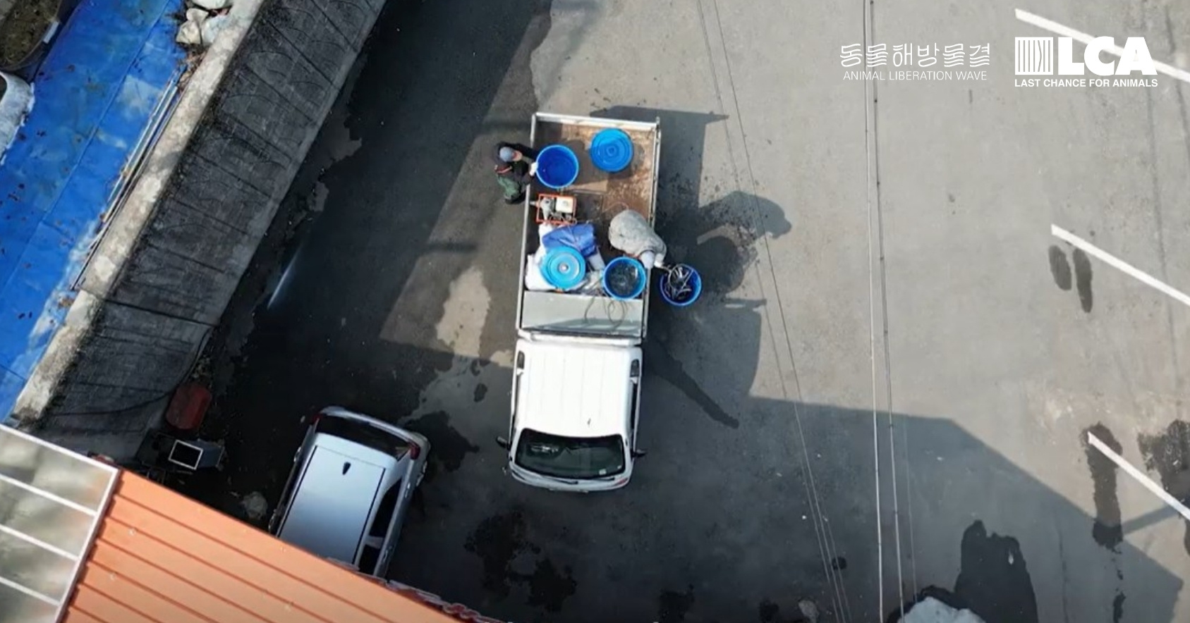 Delivering fish to local restaurants