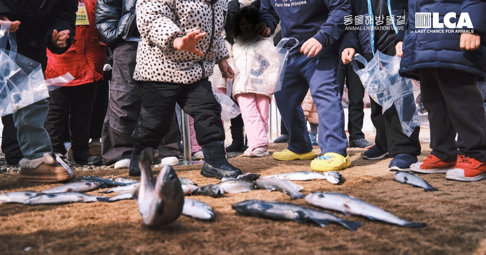 Kids grabbing fish
