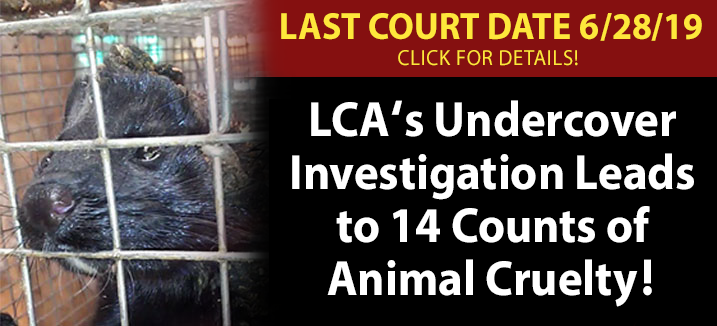 millbank trial results pending