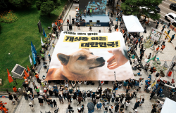 2023 Boknal Protest in Seoul, S. Korea