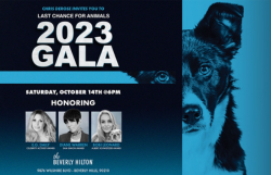 LCA's Annual Gala - Saturday, October 14th, 2023