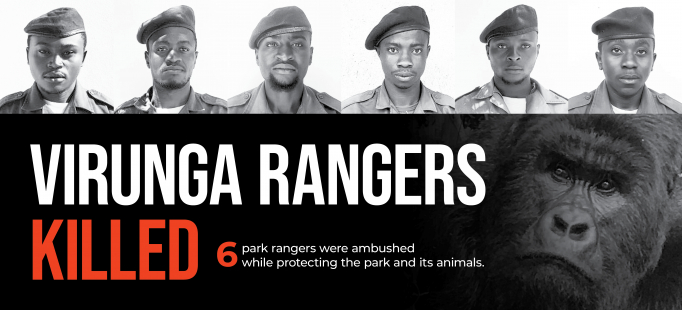 Virunga Rangers Banner 2640x1200 final