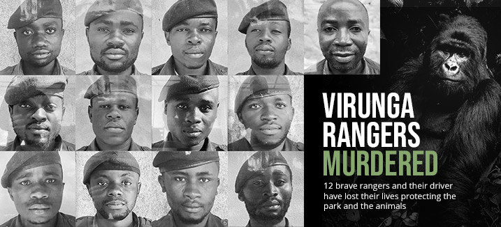 virunga rangers all