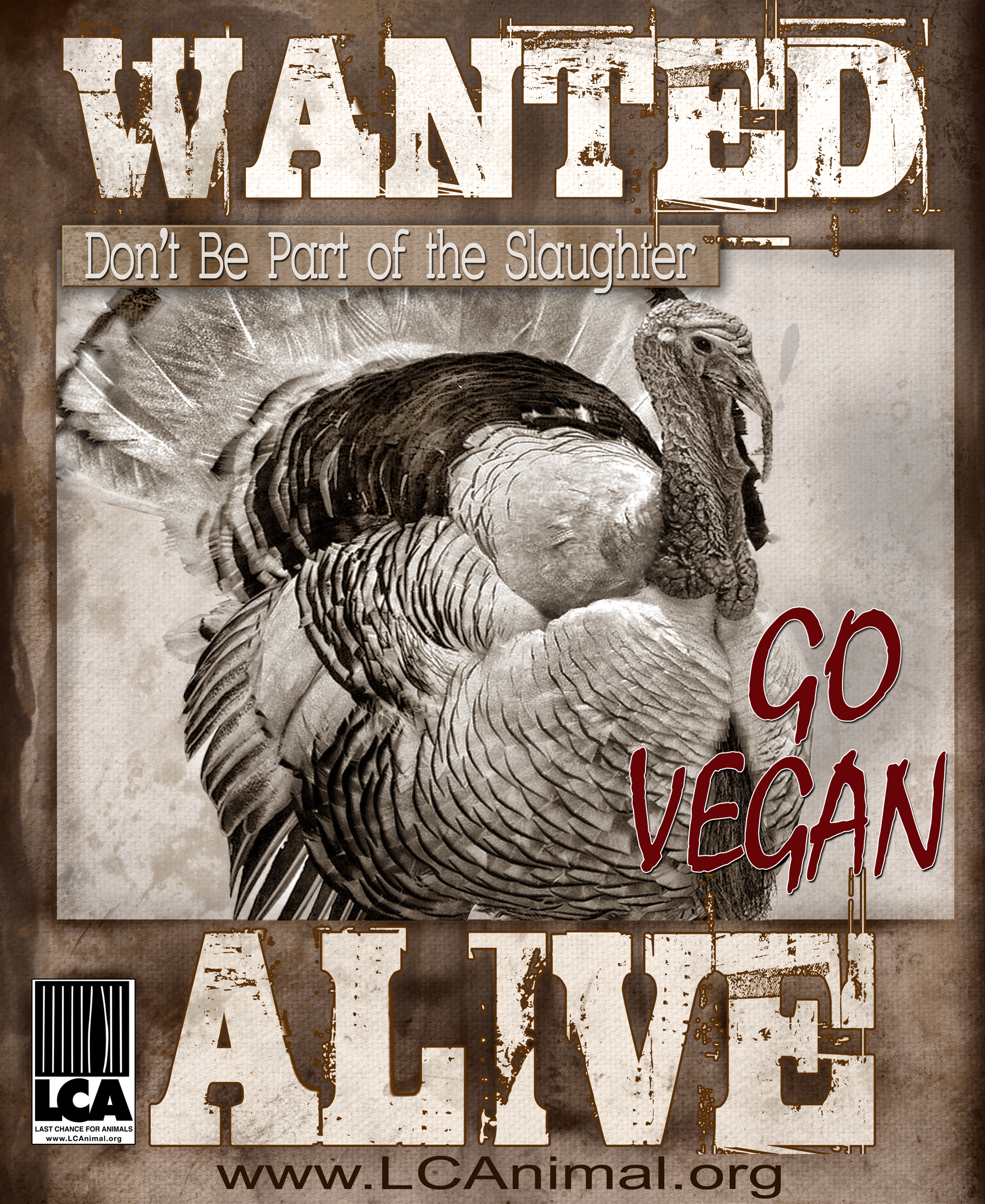Vegan Turkey PSA high res