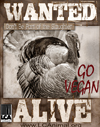 Vegan Turkey PSA low res