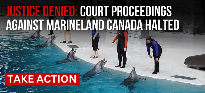 Marineland Canada Court Case Halted