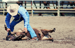 TAKE ACTION! Help Rodeo Animals