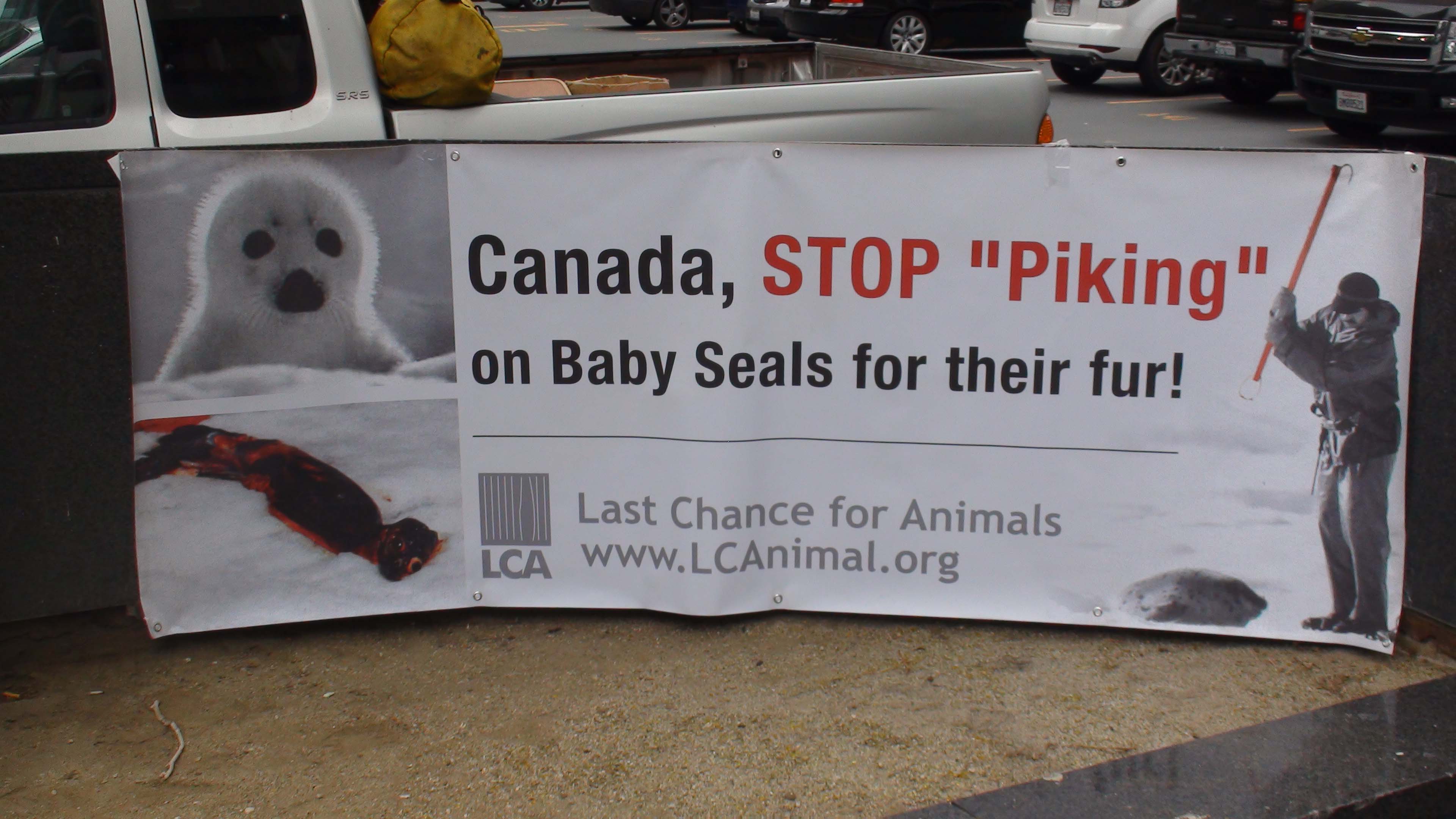 LCA Seal Hunt Protest Sign