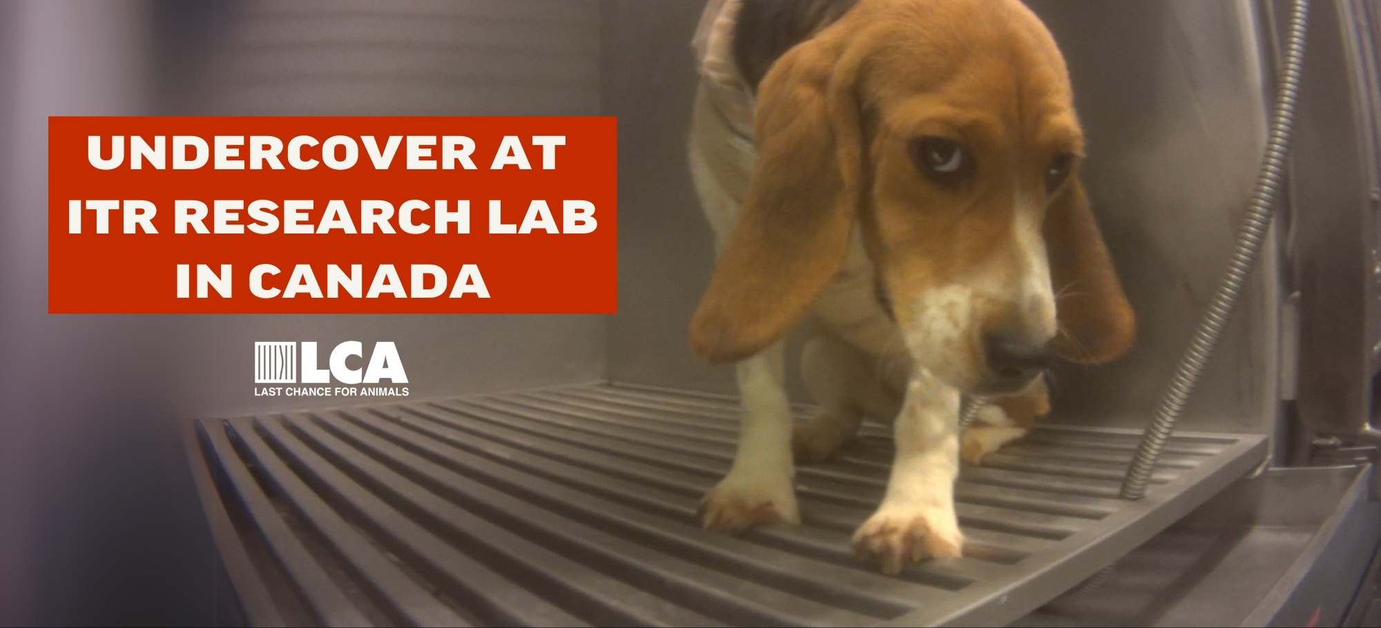 ITR Research Lab Undercover Investigation