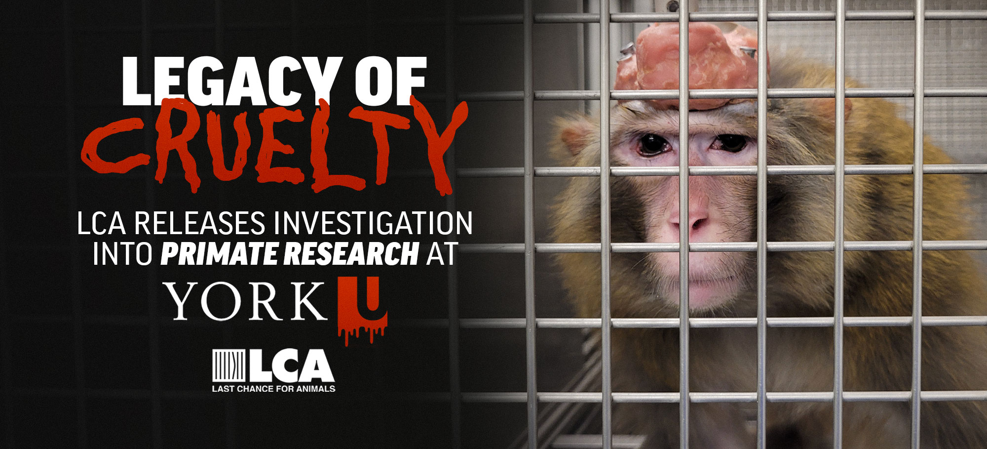 Stop York Primate Research