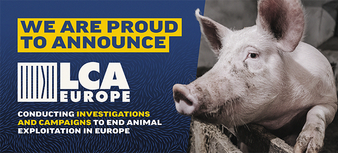LCA Europe Announcement
