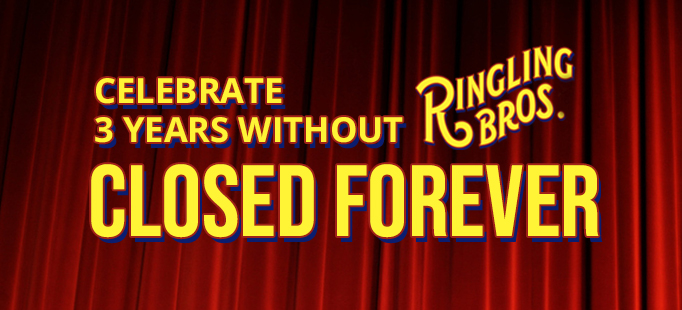 Celebrate 3 years without Ringling Circus