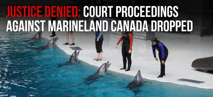 Marineland Canada Court Proceedings Dropped