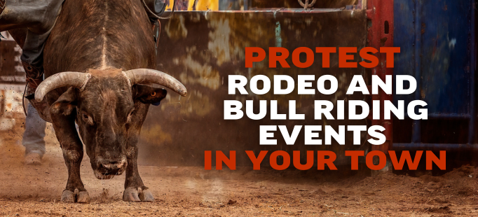 Protest the Rodeo