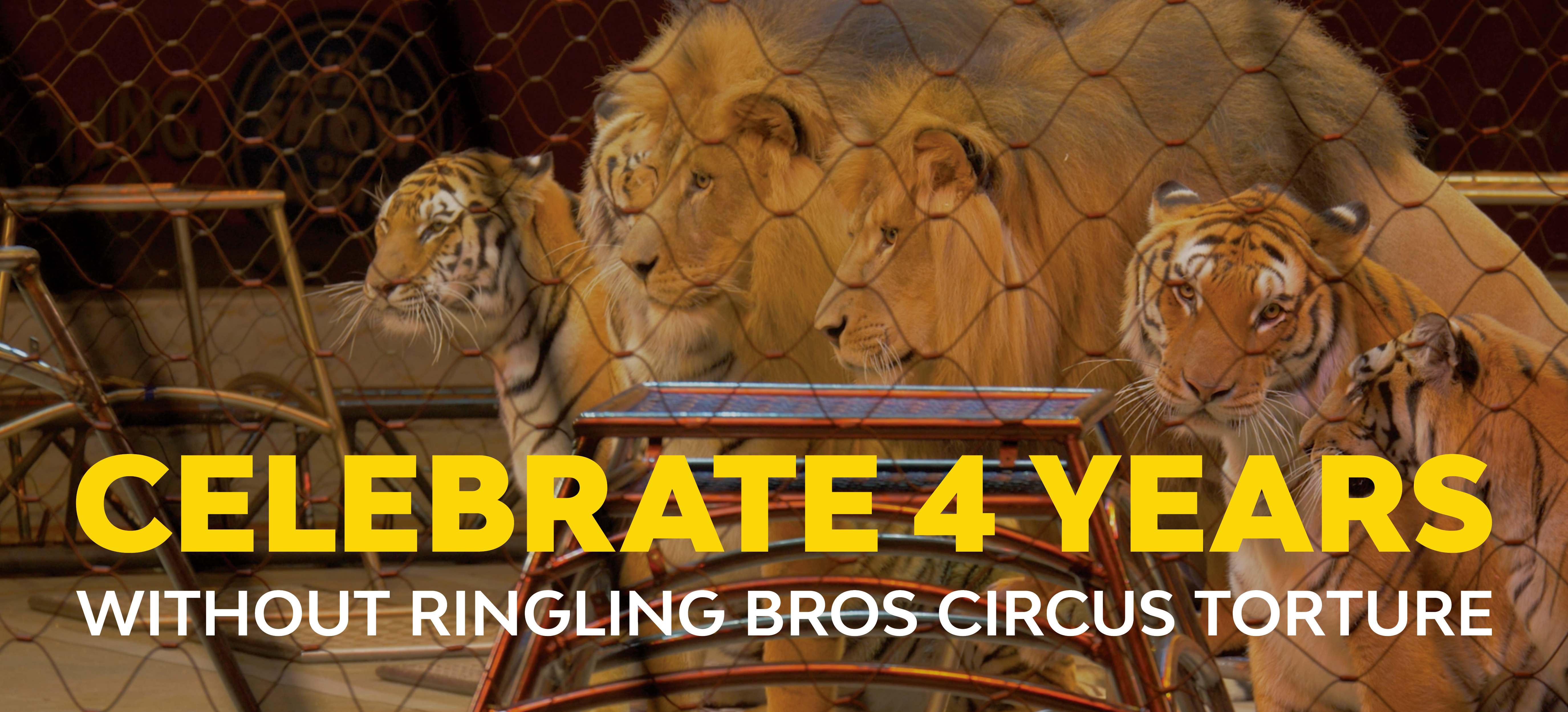 Celebrate 4 years without Ringling Bros circus