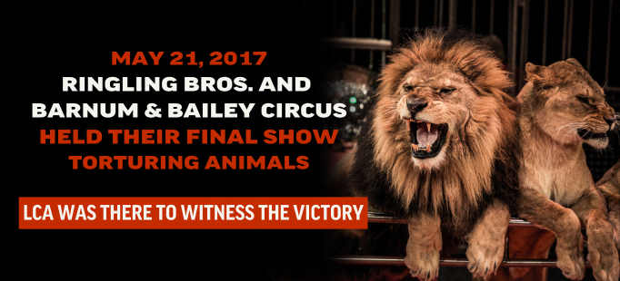 Ringling Bros Closes