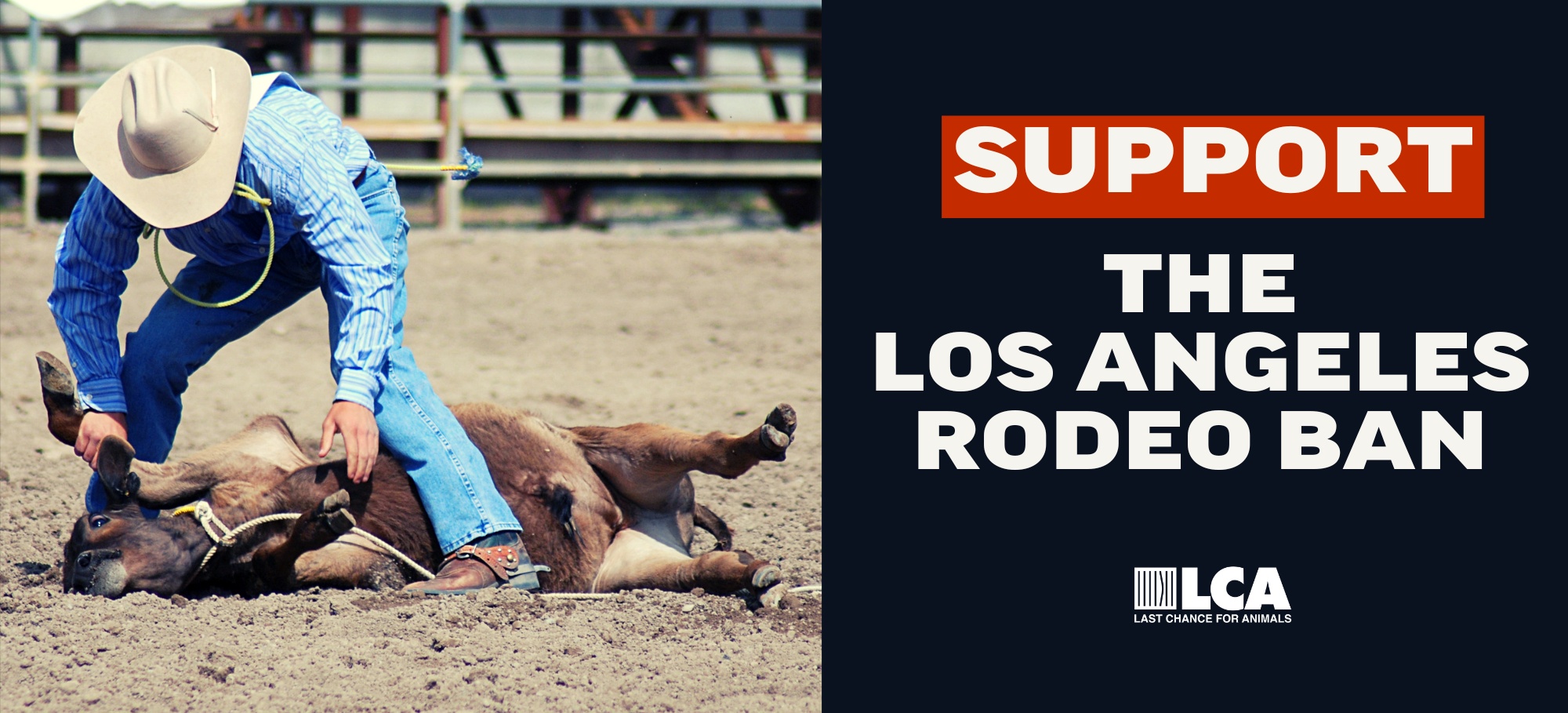 Stop the Rodeo