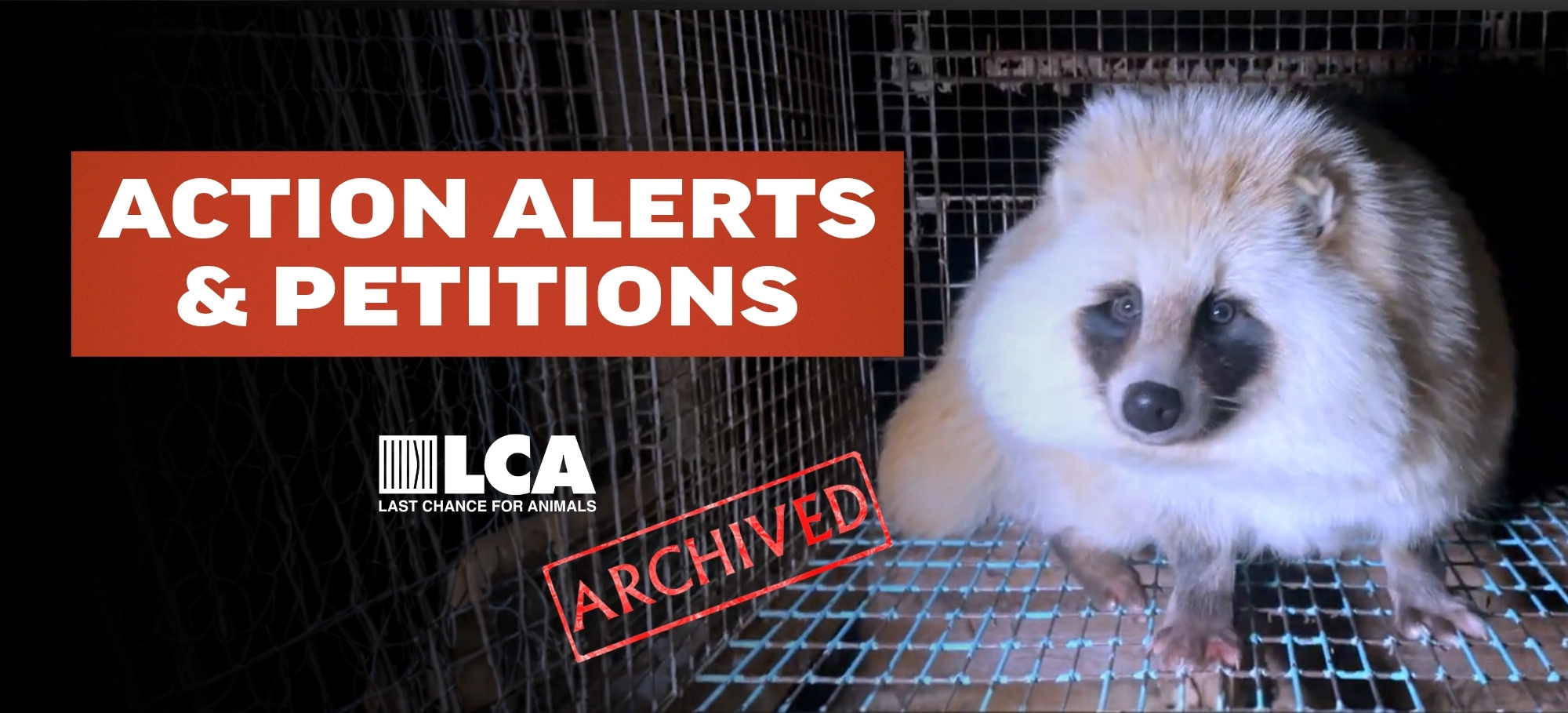 action alerts petitions archived