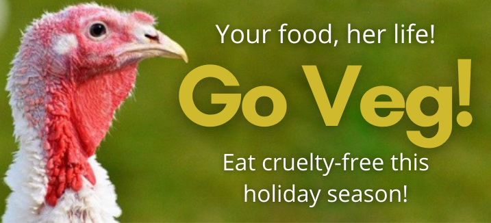 Go Veg Cruelty Free Holiday