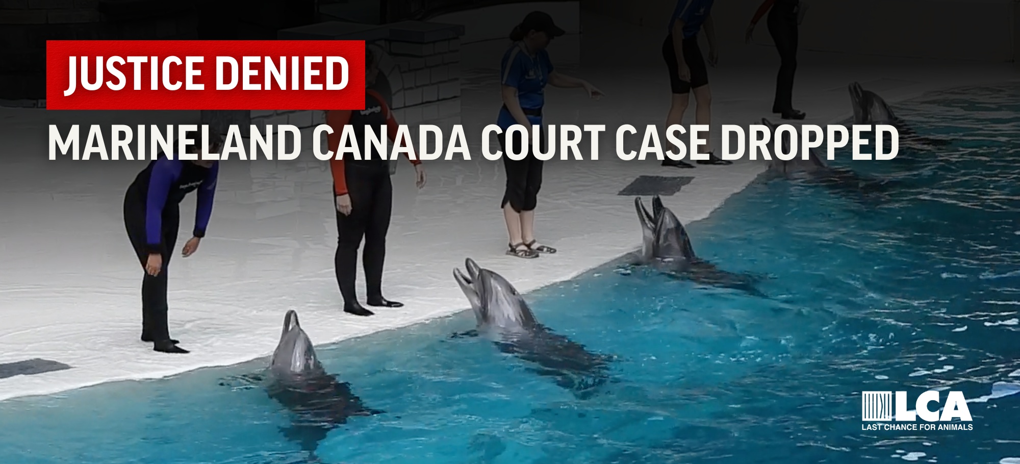 Marineland Canada Court Proceedings Dropped