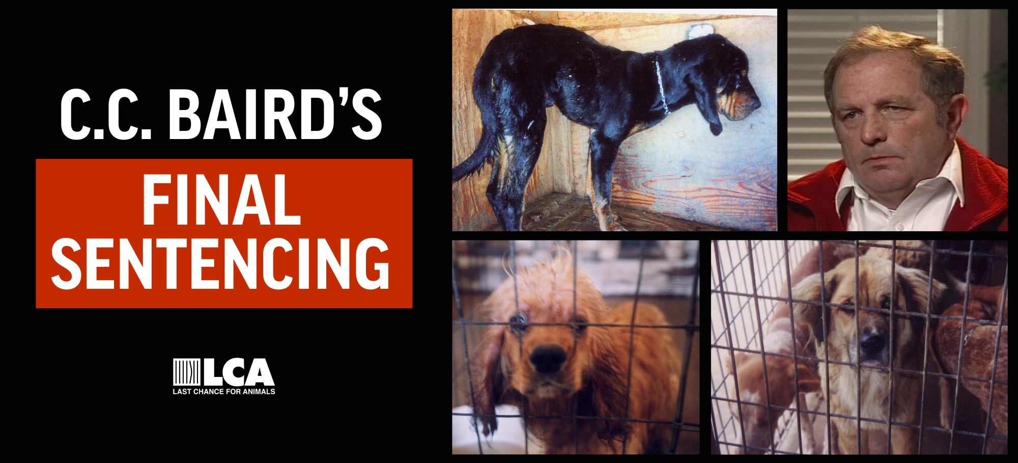 C C Baird Sentencing