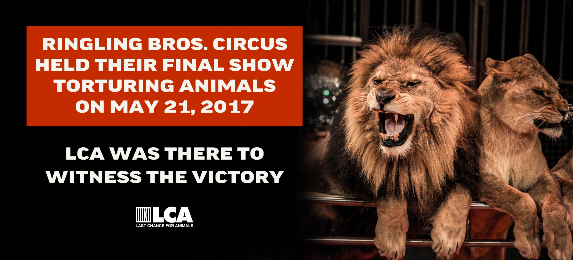 Ringling Bros Closes