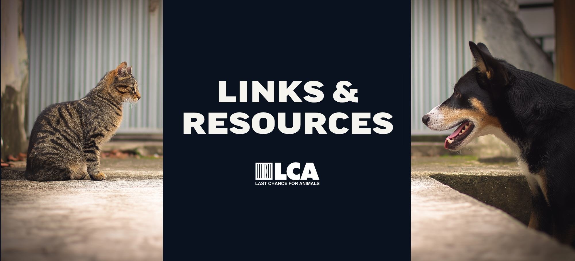 links and resources