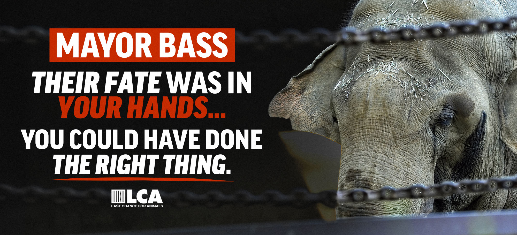 Shame on Mayor Bass