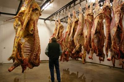 The High Cost of ‘Cheap Meat’