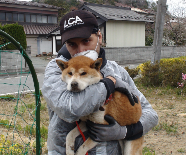 Last Chance for Animals LCA Blog Anniversary of Japan's Earthquake