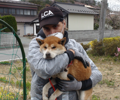 Anniversary of Japan's Earthquake, Tsunami and Nuclear Disaster - A Look Back at LCA's Animal Rescue