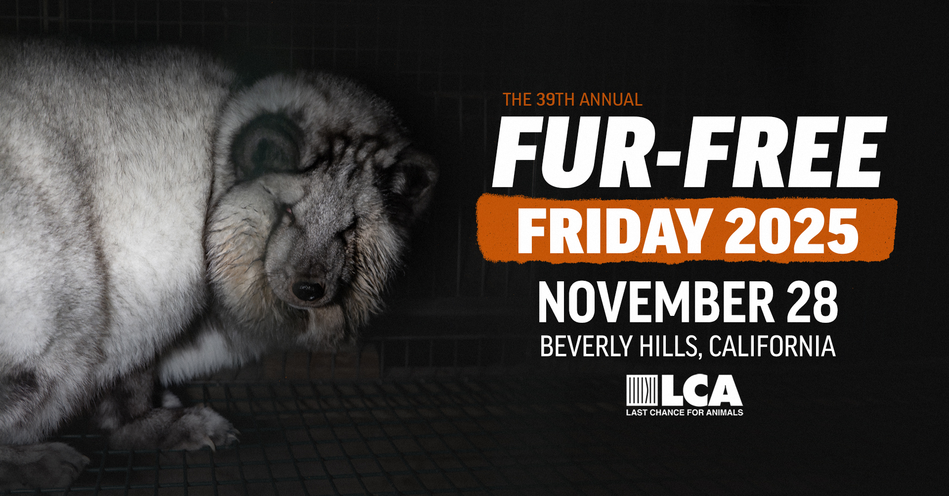 Fur free friday 2024