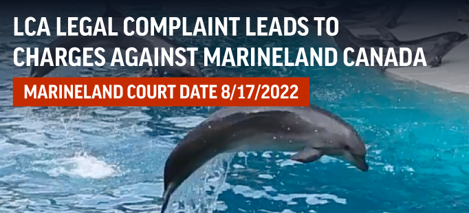 LCA Files Legal Complaint Against Marineland Canada - Marineland Charged!