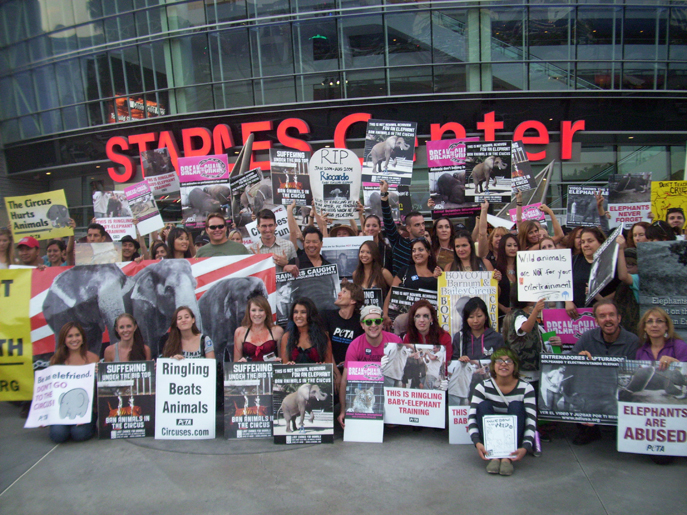 Ringling Protests 2012