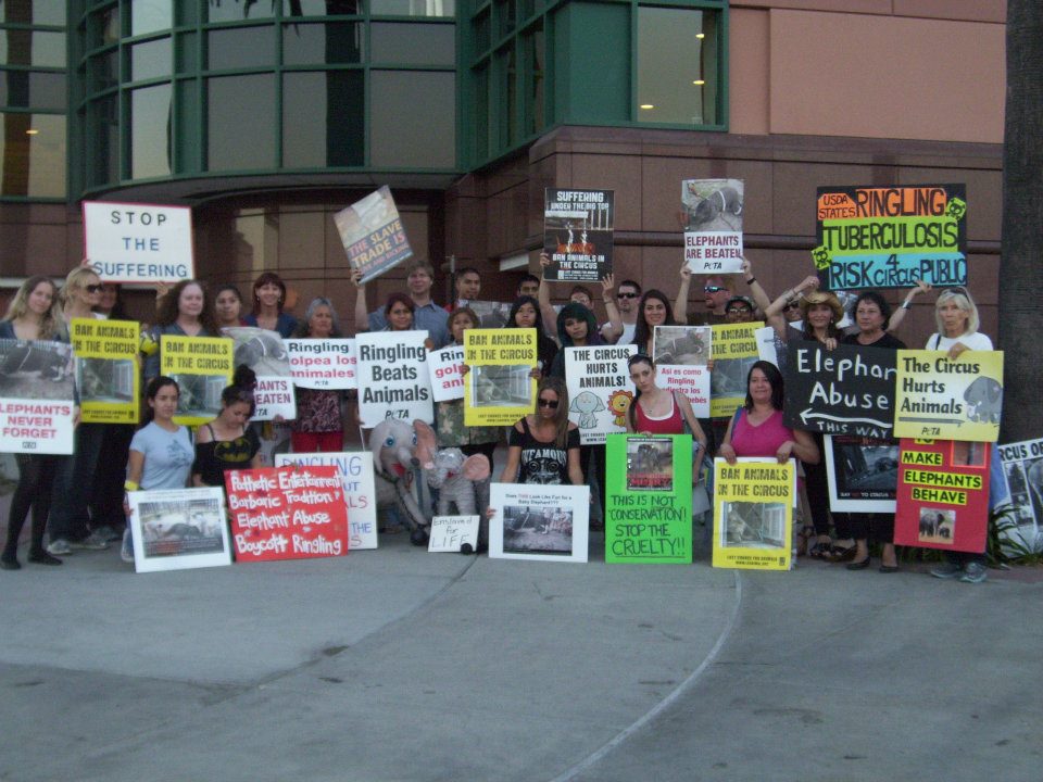 Ringling Protests 2012 2