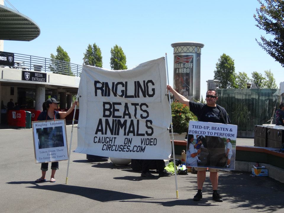 Ringling Protests 2012 3
